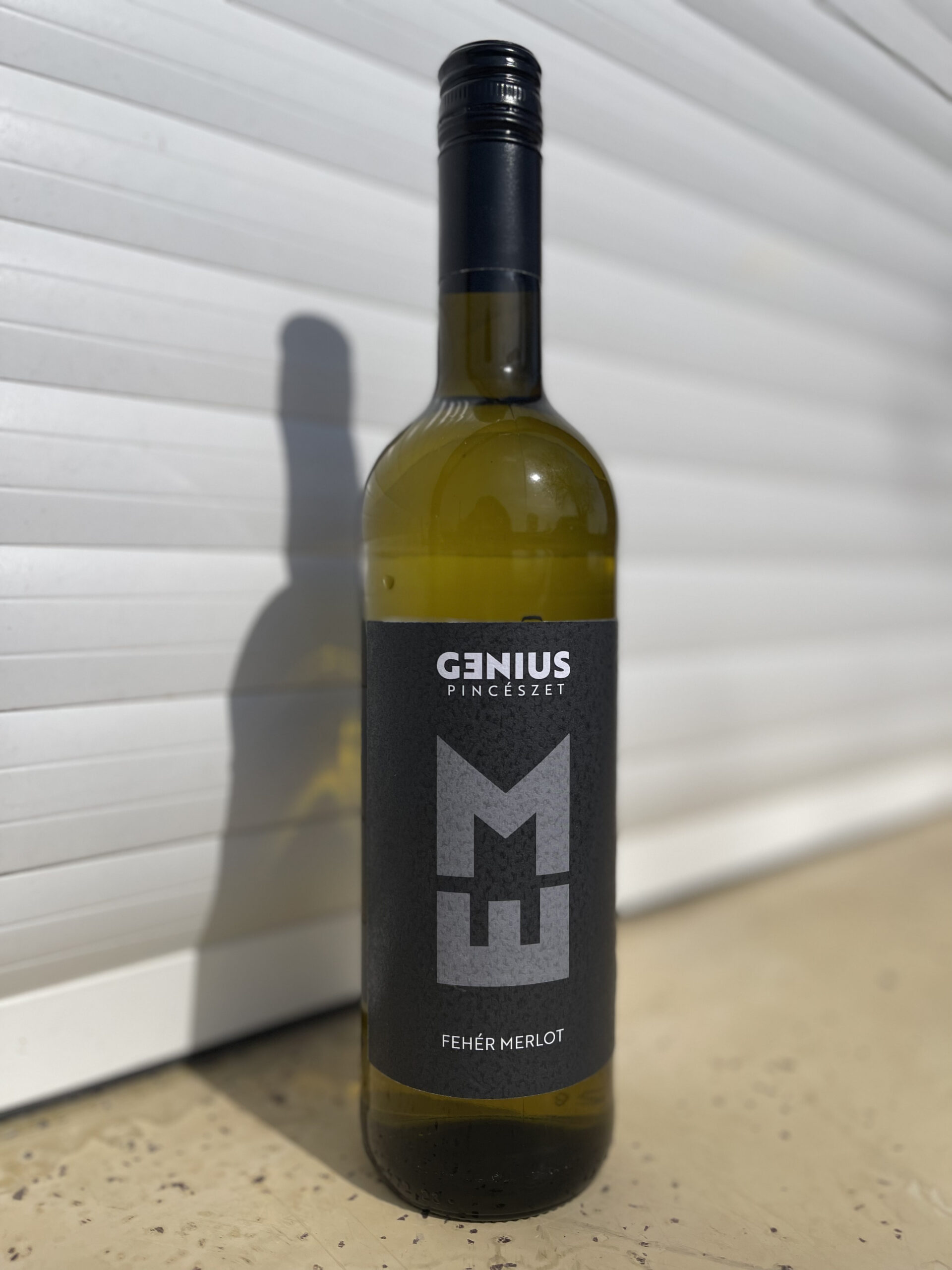 Fehér Merlot 2024